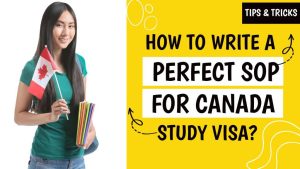 Read more about the article How to Write a Perfect SOP for Universities in Canada
